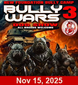 Nov 15, 2025 – Bully Wars 3 Nov 15, 2025 – Bully Wars 3
