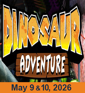 Dinosaur Adventure